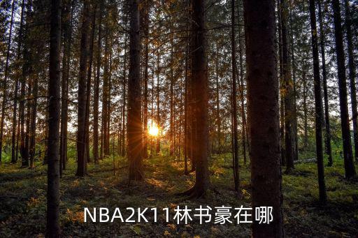 NBA2K11林书豪在哪