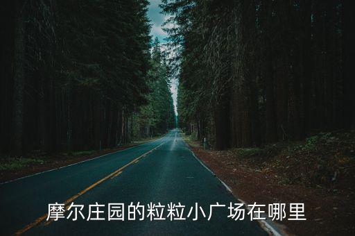 摩尔庄园的粒粒小广场在哪里