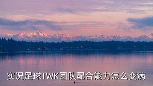 实况手游传奇球员怎么打满级，实况足球TWK团队配合能力怎么变满