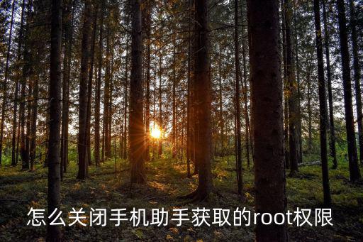 怎么关闭手机助手获取的root权限