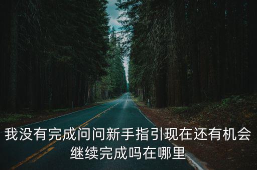 我没有完成问问新手指引现在还有机会继续完成吗在哪里