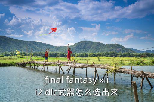 final fantasy xiii2 dlc武器怎么选出来