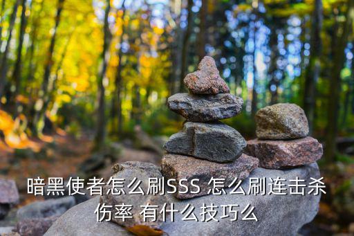 暗黑使者怎么刷SSS 怎么刷连击杀伤率 有什么技巧么