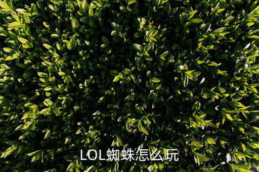 LOL蜘蛛怎么玩