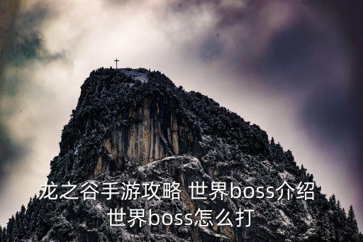 龙之谷手游攻略 世界boss介绍 世界boss怎么打