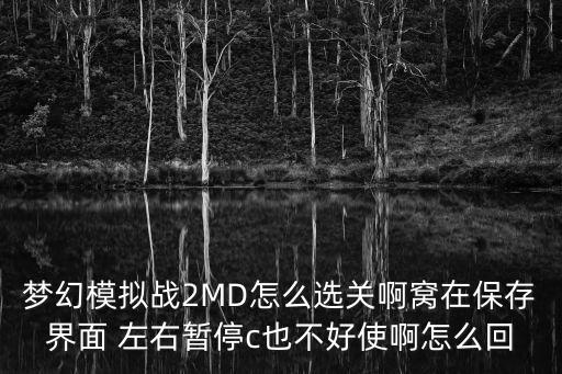 梦幻模拟战2MD怎么选关啊窝在保存界面 左右暂停c也不好使啊怎么回