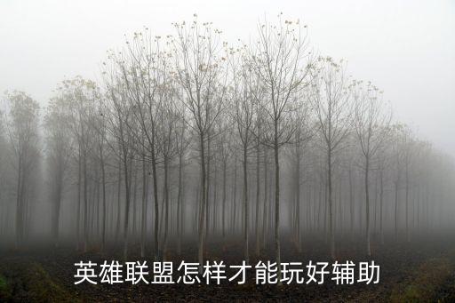 lol手游辅助怎么样才能玩好，英雄联盟怎样才能玩好辅助