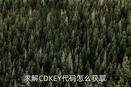 求解CDKEY代码怎么获取