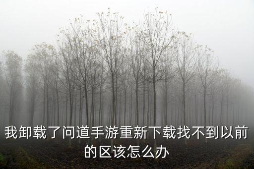 问道手游不在一个区怎么办，我以前玩问道现在不知道是哪个区了怎么能找到