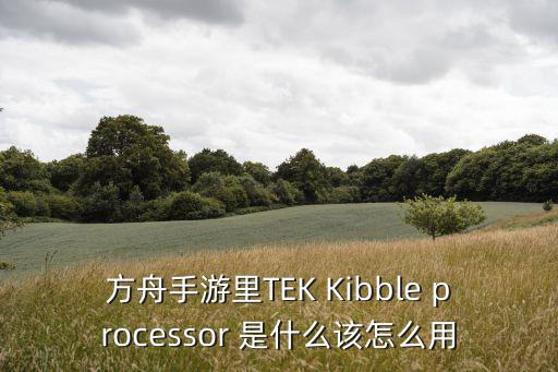 方舟手游里TEK Kibble processor 是什么该怎么用