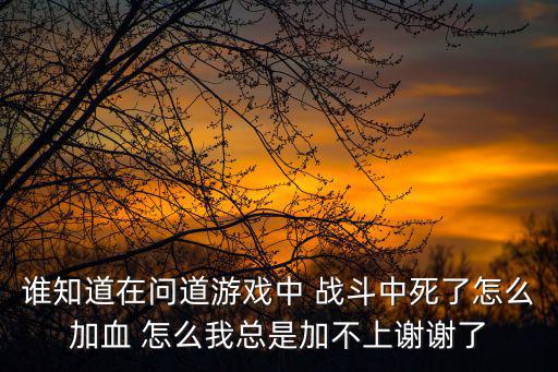 谁知道在问道游戏中 战斗中死了怎么加血 怎么我总是加不上谢谢了