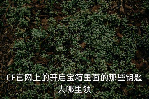 CF官网上的开启宝箱里面的那些钥匙去哪里领