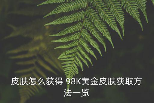 皮肤怎么获得 98K黄金皮肤获取方法一览