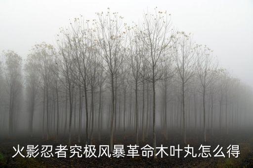 火影忍者究极风暴革命木叶丸怎么得