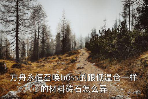 方舟永恒召唤boss的跟低温仓一样的材料砖石怎么弄