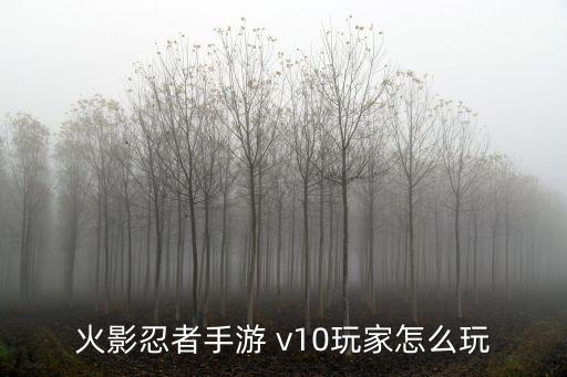 火影忍者手游 v10玩家怎么玩