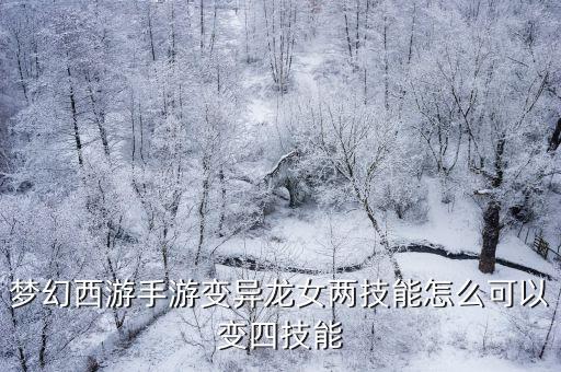 梦幻手游风起雷涌2件怎么变四件，梦幻西游手游变异龙女两技能怎么可以变四技能