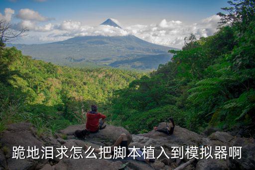 跪地泪求怎么把脚本植入到模拟器啊