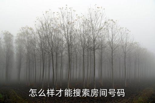 怎么样才能搜索房间号码