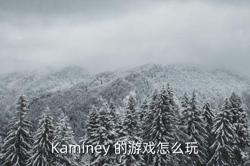 Kaminey 的游戏怎么玩