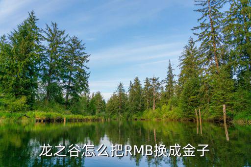 龙之谷怎么把RMB换成金子