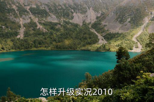 怎样升级实况2010