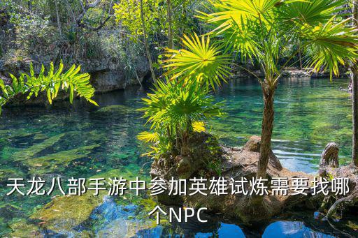 天龙八部手游中参加英雄试炼需要找哪个NPC