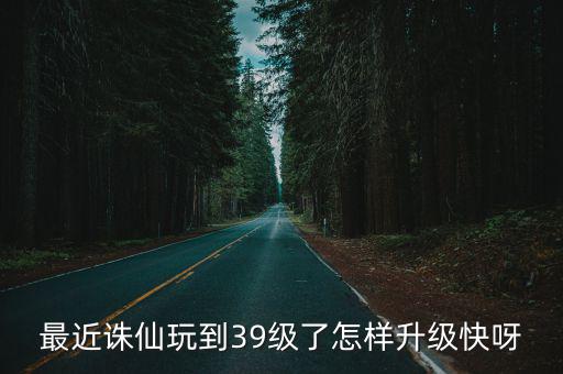 最近诛仙玩到39级了怎样升级快呀