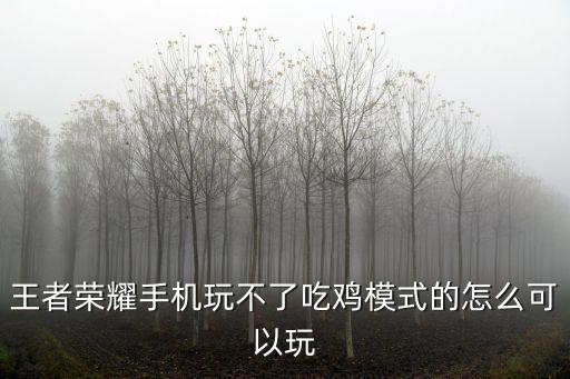 王者荣耀手机玩不了吃鸡模式的怎么可以玩