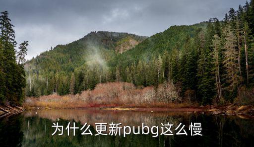 pubg更新太慢怎么解决手游，游戏更新的慢怎么办