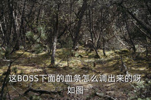 这BOSS下面的血条怎么调出来的呀如图