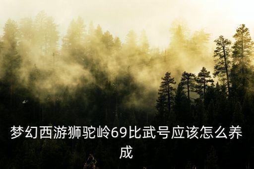 梦幻西游狮驼岭69比武号应该怎么养成