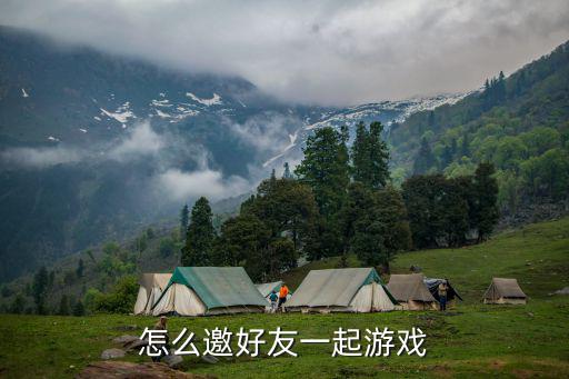 传奇手游怎么设置组队邀请，私服传奇如何调节组队模式