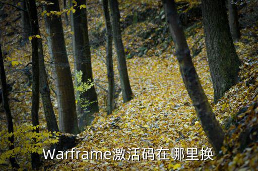 Warframe激活码在哪里换