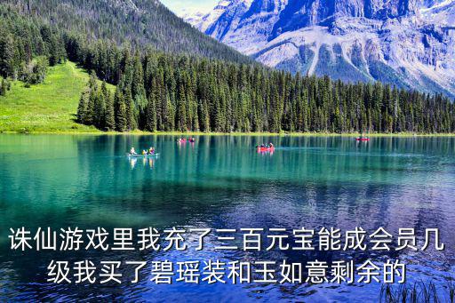 诛仙游戏里我充了三百元宝能成会员几级我买了碧瑶装和玉如意剩余的