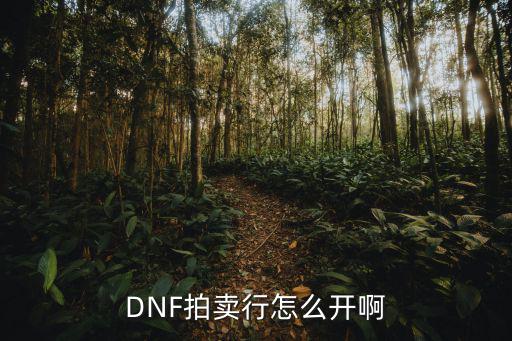 DNF拍卖行怎么开啊