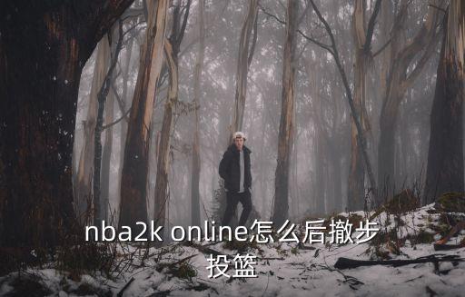 手游2k20跳步后撤步怎么操作，跳步和后撤布到底是怎样啊简单的教下通俗点教下实用的突破和