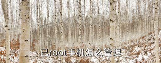 已root手机怎么管理