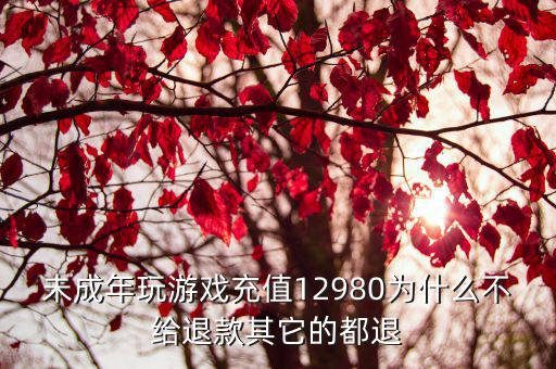 未成年玩游戏充值12980为什么不给退款其它的都退