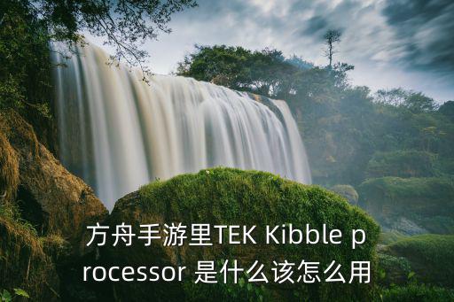 方舟手游里TEK Kibble processor 是什么该怎么用