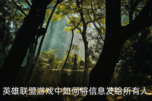 英雄联盟手游怎么发送消息，玩英雄联盟游戏时怎样发消息