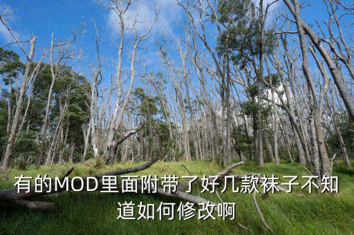 有的MOD里面附带了好几款袜子不知道如何修改啊