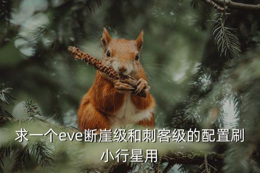 求一个eve断崖级和刺客级的配置刷小行星用