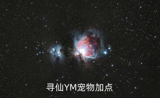 寻仙YM宠物加点