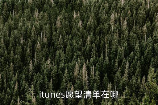 itunes愿望清单在哪