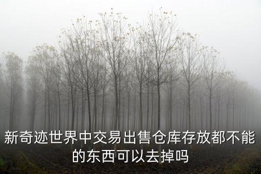 新奇迹世界中交易出售仓库存放都不能的东西可以去掉吗