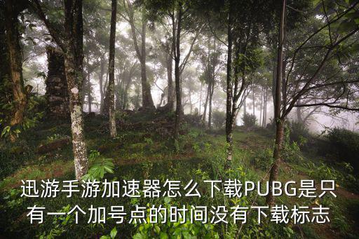 迅游手游加速器怎么下载PUBG是只有一个加号点的时间没有下载标志