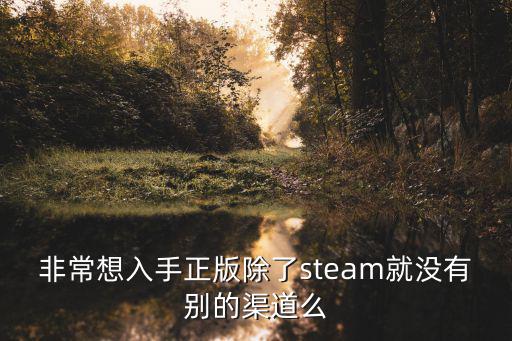 非常想入手正版除了steam就没有别的渠道么