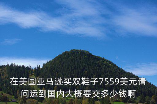 在美国亚马逊买双鞋子7559美元请问运到国内大概要交多少钱啊