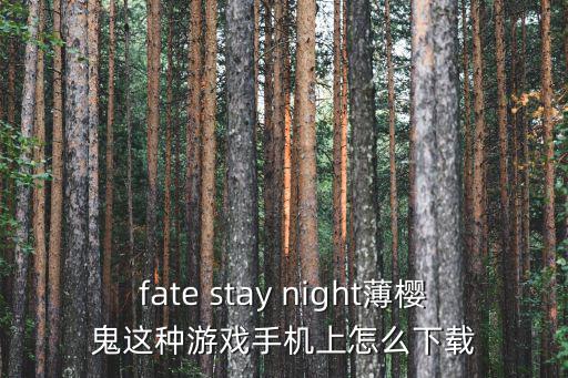 fate stay night薄樱鬼这种游戏手机上怎么下载